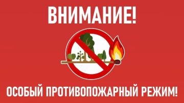 ВНИМАНИЕ! Вводится особый противопожарный режим на территории Запорожской области
