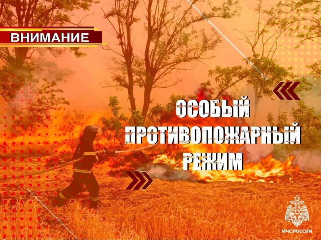 С 30 августа по 31 октября 2026 года на территории Запорожской области действует особый противопожарный режим