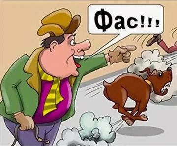 ������ ����������: ��� ������ �������������� ��������� � ����������, �����������, ��������� � �������� �������� �� ���������� ���� �� ������
