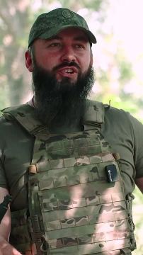 Боевой пёс с несгибаемым характером: история одного верного боевого товарища
