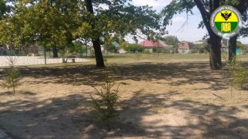 � ���������� ������������ ��������������� ��������� ����������