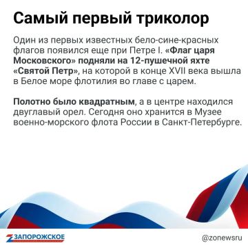 Сегодня в России отмечают День Государственного флага