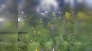 ��������� ���� 394 ������������ ����� 127 ������� 5 ����� ����������� ����� "������" �������� ������ ������ ���, ��������� �������� ������� ���������� �� ����������� �����������