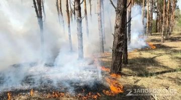 � ����������� ������� ��������� ������������ � ������� ���������������