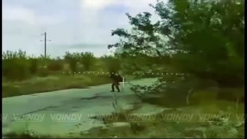 ��������� ���� 14 ��������� ����������� ������� �������� ����������� ����� "������" ������� � ���������� ����� ���� ���������� �� ����������� �����������