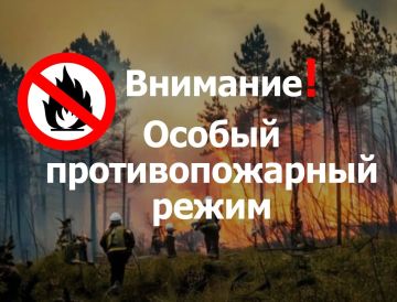В Запорожской области вводится особый противопожарный режим