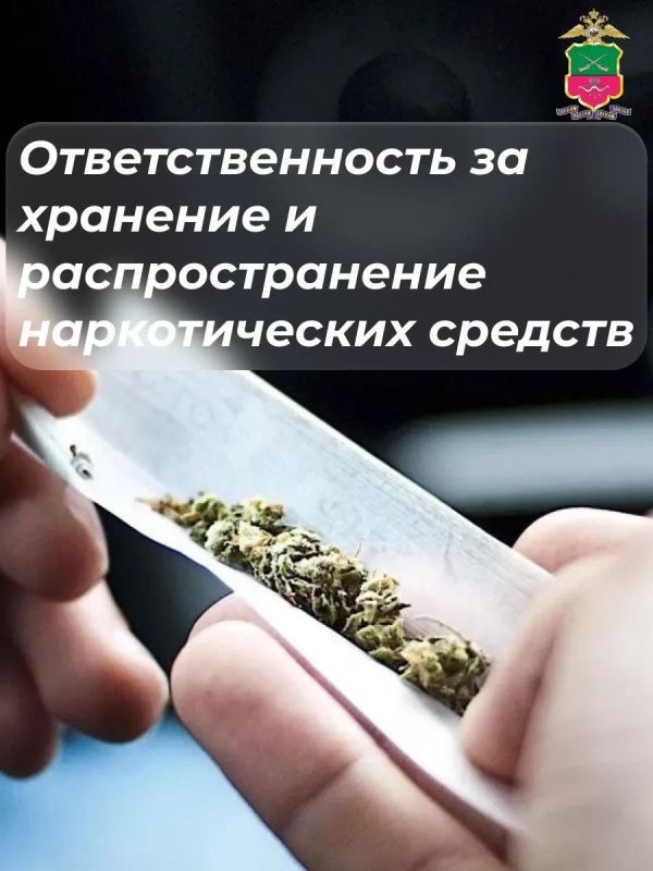 Осторожно: мошенники при покупках через интернет Осторожно: мошенники при покупках через интернет