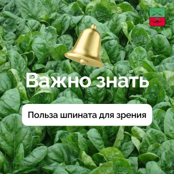 Шпинат — защита глаз от усталости