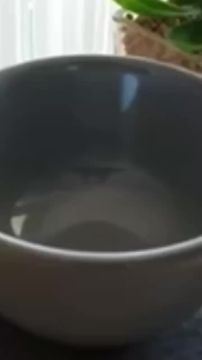 �������������� ��. ����� ����������