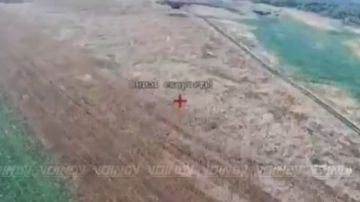 Операторы ФПВ 35 армии очищают небо Запорожской области от врадеских беспилотников