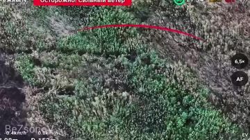 ������ ��������: #���������. ������ ���������� ������� ���� ����������� ����� ������� �� ������� �������� ��� � ����������� �������