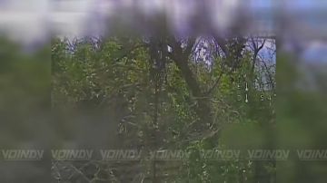 Воины-сахалинцы 39 отдельной гвардейской мотострелковой бригады 68 армейского корпуса группировки войск "Восток" не позволили противнику использовать беспилотные системы, уничтожив антенны НСУ на Запорожском направлении