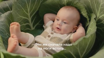 Как национальный проект «Семья» помогает семьям