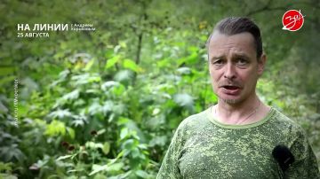 Разбираем обстановку на фронте вместе с Андреем Хорьковым в программе «На Линии» | 25 августа