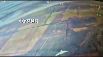 Физрук и Рэйз из ЗРБ 291 полка вершат небесный свинорез