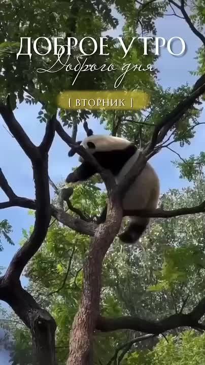 Подписывайтесь на. НОВЫЙ МЕЛИТОПОЛЬ