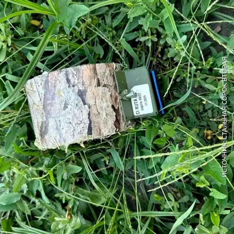 Вот такие пеньки-мины сбрасывают ВСУ в тыловых районах Запорожской области Вот такие пеньки-мины сбрасывают ВСУ в тыловых районах Запорожской области