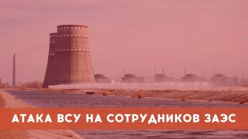����: � ���������� ���������������� ����� ����������� ������������ �������� ������� ��� ���������� ����������� ���
