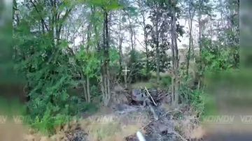 �����-���������������� ������� � ���������� ������� ��������������� ������� ��� �� ����������� �����������