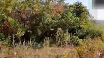 ������� ���� ����� ����������� ����� ���������� �������� ���