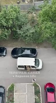 В Харькове сотрудники ТЦК избили мужчину после того, как он отказался показывать документы