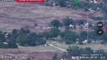 ВС РФ освободили Шевченковское в Запорожской области, сообщает МО РФ