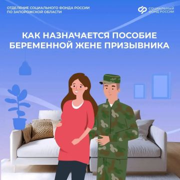 Единовременное пособие беременной жене военнослужащего: как получить выплату