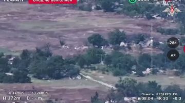 В Запорожской области освобождено Шевченковское