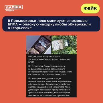 В Сети пишут об опасной находке в Подмосковье — якобы в Егорьевске обнаружили БПЛА с замаскированной под пеньки миной