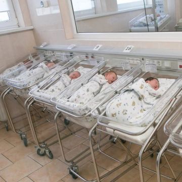Анна Хорошун: Рождаемость в мире опустилась до рекордно низкого уровня