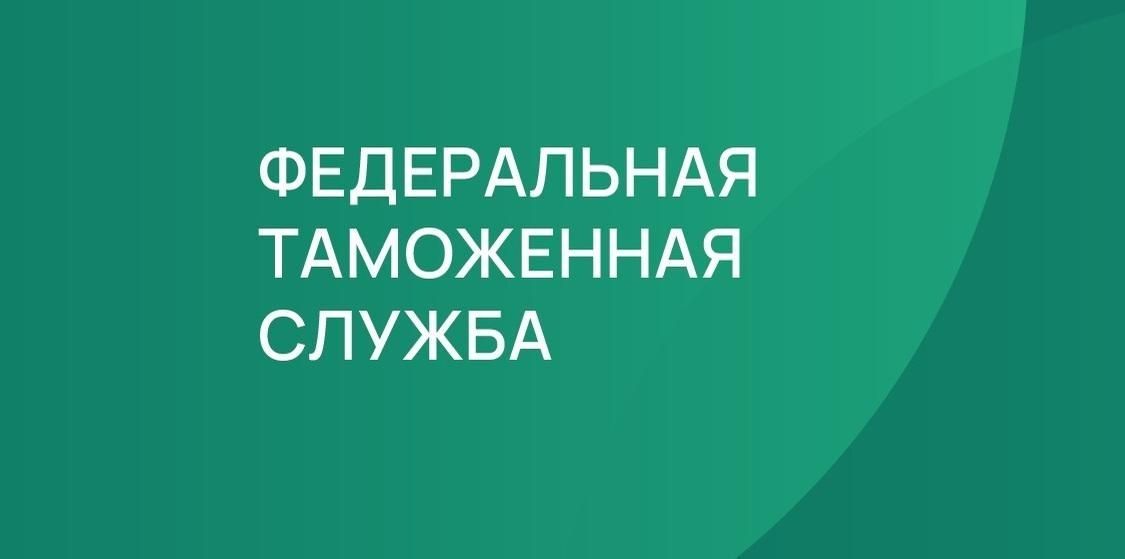 Федеральная таможенная служба: подать декларацию можно через мобильное приложение