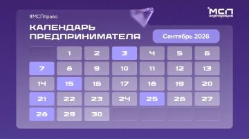 Платежи, отчетность, обязательные сроки