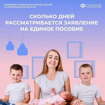 Сроки рассмотрения заявления на единое пособие: что важно знать
