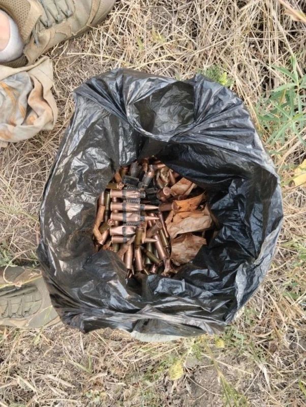В Запорожской области найдены боеприпасы В Запорожской области найдены боеприпасы