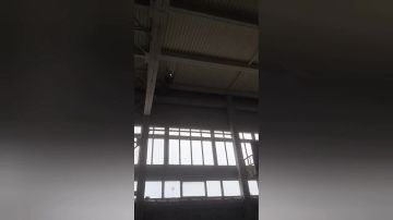 ���� ��� �������� ���������-��������������� �������� ���� � ����������