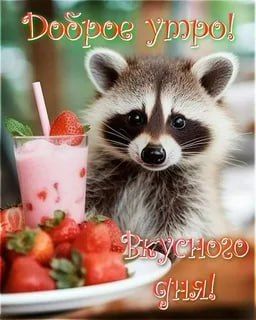 Доброе утро, друзья! Хорошего вам дня и отличного настроения!