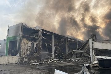"40 дней для принуждения России к миру" Зеленского уже миновали, а результаты всё ещё поступают