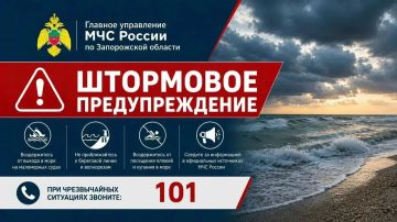 Штормовое предупреждение. До конца дня 29 августа и в течение суток 30 августа по Азовскому морю сохранится северо-восточный ветер 12-17 м/с порывы до 20 м/с