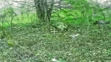��������� ���� 14 ��������� ����������� ������� �������� ����������� ����� "������" ���������� ���������� ����� ���� ���������� �� ����������� �����������