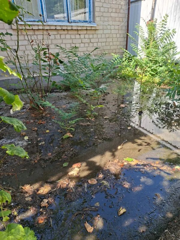 В связи с сильным прорывом водопроводной магистрали по ул. Пионерская сегодня в 19.00 будет отключена подача воды по улицам: М. Патриотов, Свердлова, Зелёная, Советская, Толбухина, Молодёжная, Октябрьская, Театральная, ...