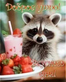������ ����, ������! �������� ��� ��� � ��������� ����������!
