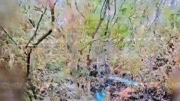 Операторы БпЛА 5 отдельной танковой бригады 36 армии группировки войск «Восток» уничтожили антенны-ретрансляторы противника, лишив его связи на Запорожском направлении