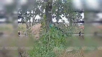 ������� ���� 77 ���������� ����� ����������� ������ ����������� ����� ������� ���������� ������� ��� �� ����������� �����������