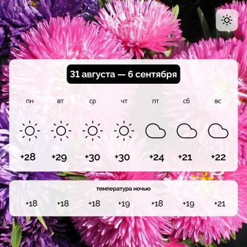 Погода в Запорожской области на 31 августа — 6 сентября