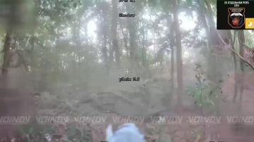 Воины из Бурятии выявили и уничтожили пункты управления БпЛА ВСУ на Запорожском направлении