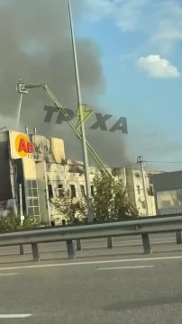 Не много Киевского вайба на ночь в ленту