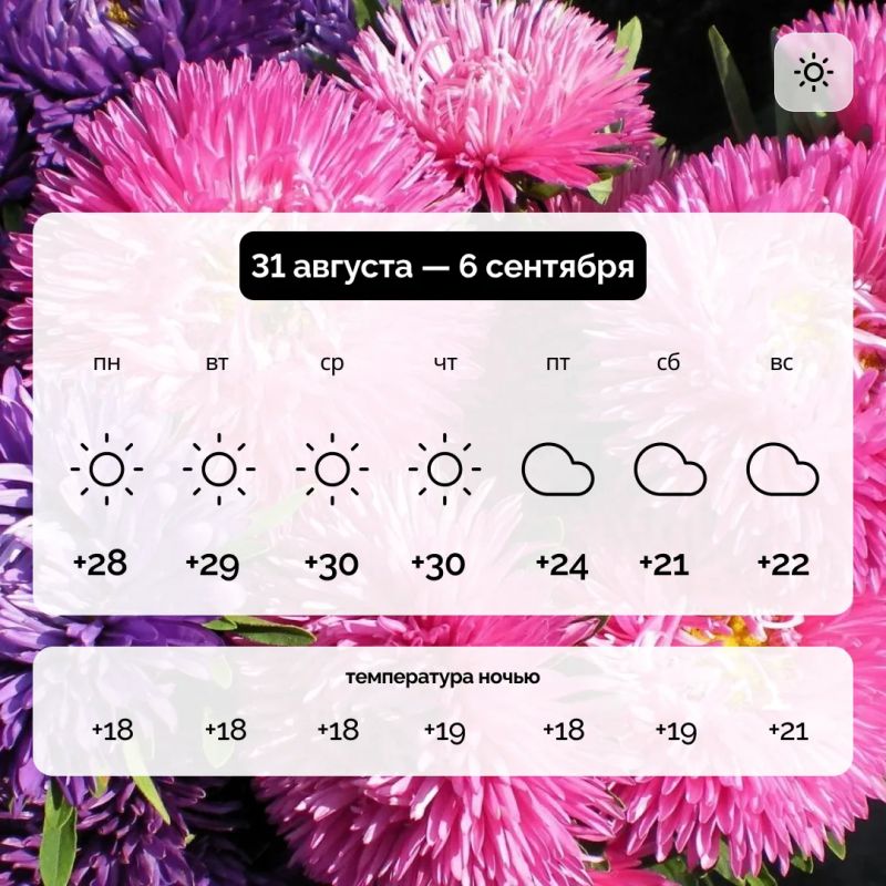 Погода в Запорожской области на 31 августа — 6 сентября