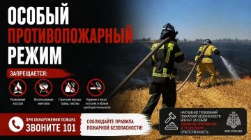 С 30 августа по 31 октября в Запорожской области введён особый противопожарный режим