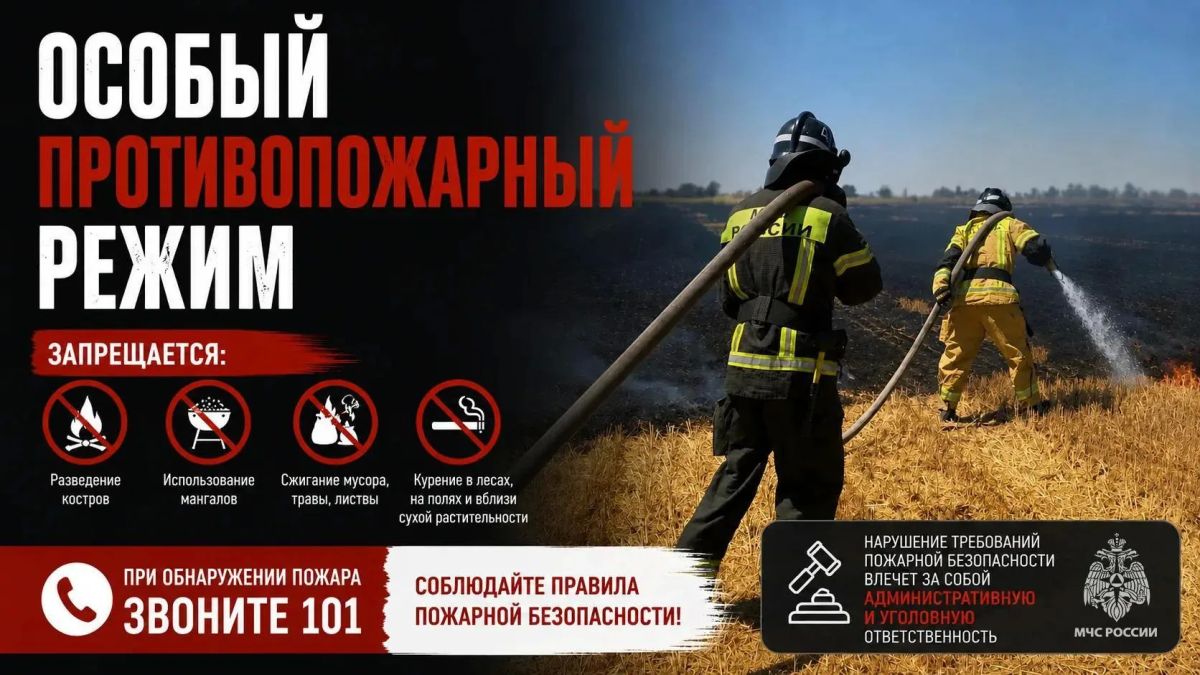 Евгений Балицкий: В Запорожской области введён особый противопожарный режим, который продлится по 31 октября 2026 года