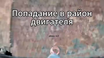 Расчёт БПЛА Южной группировки войск уничтожил БТР Stryker ВСУ